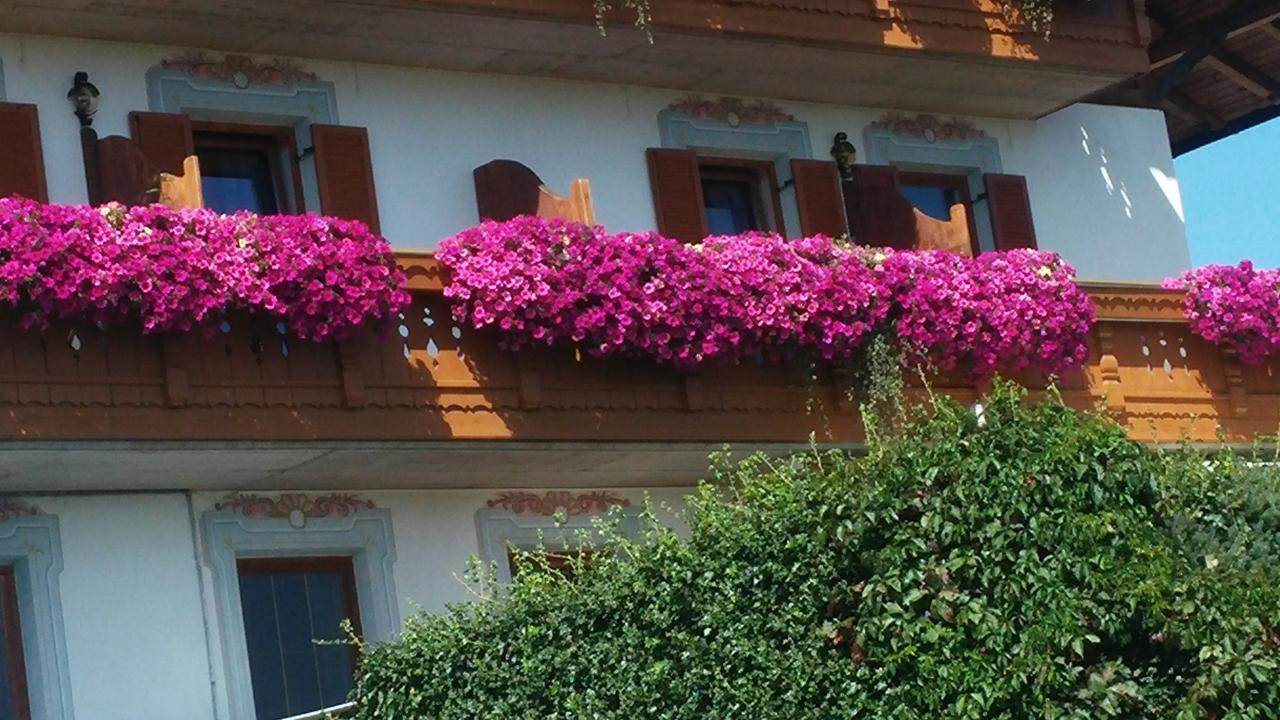 Residence Condor Маранца Экстерьер фото
